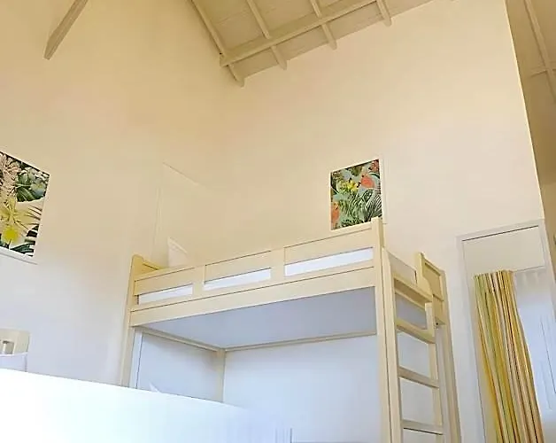 Hotel Maayo 2*
